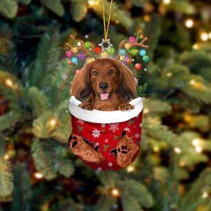 Red Long Haired Dachshund In Snow Pocket&hellip;