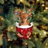 Red Long Haired Dachshund In Snow Pocket Christmas Ornament – Flat Acrylic Dog Ornament