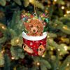 Redbone Coonhound In Snow Pocket Christmas Ornament – Flat Acrylic Dog Ornament – Gifts For Pet Lovers