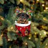 Rhodesian Ridgeback In Snow Pocket Christmas Ornament – Flat Acrylic Dog Ornament
