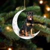 Rottweiler Sleeping Pearl In Christmas Two Sided Christmas Plastic Hanging Ornament – Christmas Decor