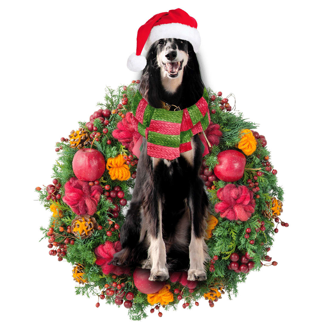 Saluki Christmas Christmas Plastic Hanging Ornament – Christmas Decor