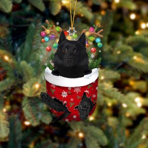Schipperke In Snow Pocket Christmas Ornament –&hellip;