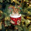 Shetland Sheepdog In Snow Pocket Christmas Ornament – Flat Acrylic Dog Ornament – Gifts For Dog Lovers
