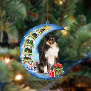 Shetland Sheepdog Sit On The Blue Moon-Two&hellip;