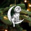 Shih Tzu-Sleep On The Moon Christmas Two Sided Christmas Plastic Hanging Ornament