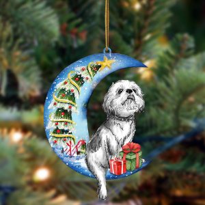Shih Tzu Sit On The Blue Moon-Two&hellip;
