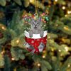 Silver Miniature Poodle In Snow Pocket Christmas Ornament – Flat Acrylic Dog Ornament