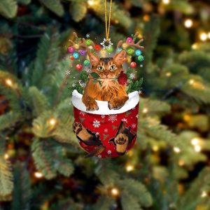 Somali Cat In Snow Pocket Christmas Ornament&hellip;