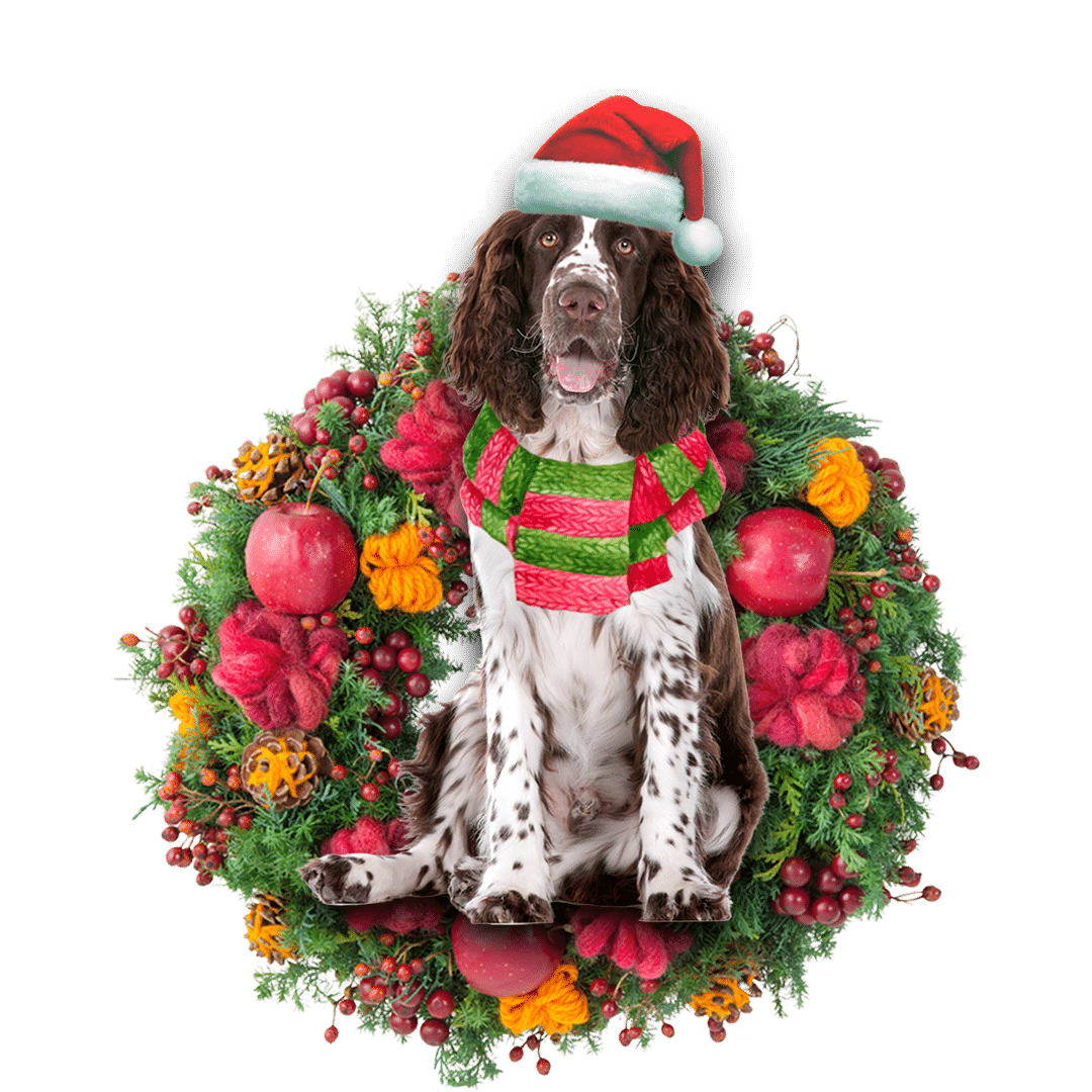 Springer Spaniel Christmas Christmas Plastic Hanging Ornament – Christmas Decor