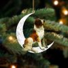 St Bernard-Christmas Truck Two Sided Christmas Plastic Hanging Ornament – Holiday Ornaments