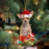 Standard Schnauzer-Dog Be Christmas Tree Hanging Christmas Plastic Hanging Ornament – Funny Ornament