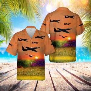 US Air Force U-2 Dragon Lady 80-1080&hellip;