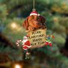 Vizsla-Sit On The Book Two Sides Christmas Plastic Hanging Ornament – Holiday Ornaments