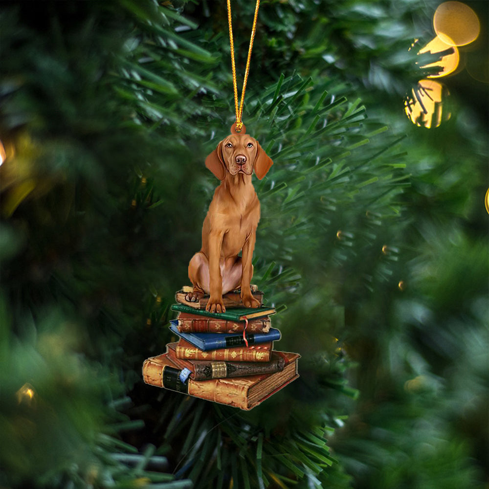 Vizsla-Sit On The Book Two Sides Christmas Plastic Hanging Ornament – Holiday Ornaments