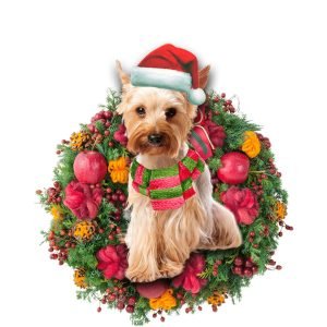 Yorkshire Terrier Christmas Christmas Plastic Hanging Ornament&hellip;