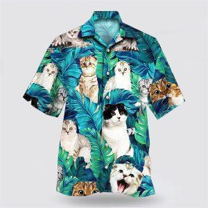 Scottish Fold Cat Is So Cute On&hellip;