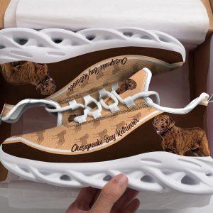 Dog Shoes Running, Chesapeake Bay Retriever Max&hellip;