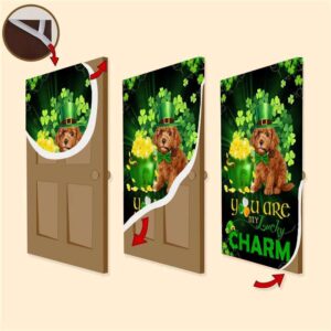 Poodle You Are My Lucky Charm Irish Saint Patrick s Day Door Cover St Patrick s Day Door Cover St Patrick s Day Door Decor 3 ob4nae.jpg