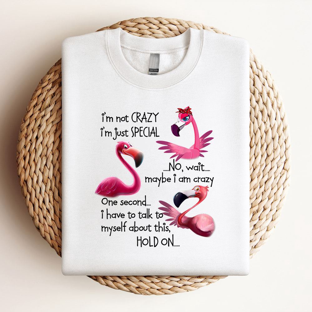 Flamingo Im Not Crazy Im Just Special Funny Mothers Day Sweatshirt, Mother Sweatshirt, Sweatshirt For Mom, Mum Sweatshirt