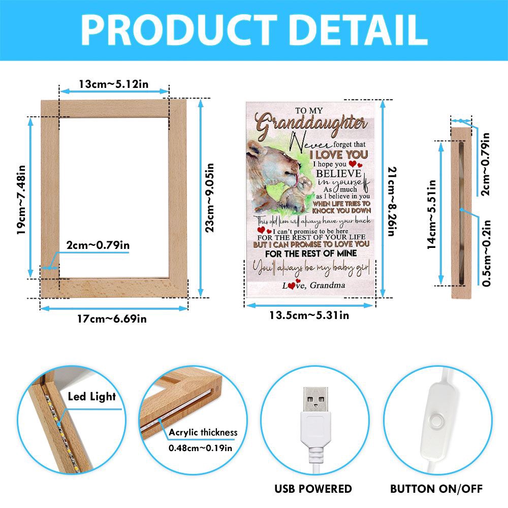 Lion Mother And Cub Baby Lion To My Granddaughter Frame Lamp, Picture Frame Light, Frame Lamp, Mother’s Day Gifts