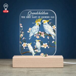 Mother’s Day Led Lights, Cockatoo Bird Grandparents,&hellip;