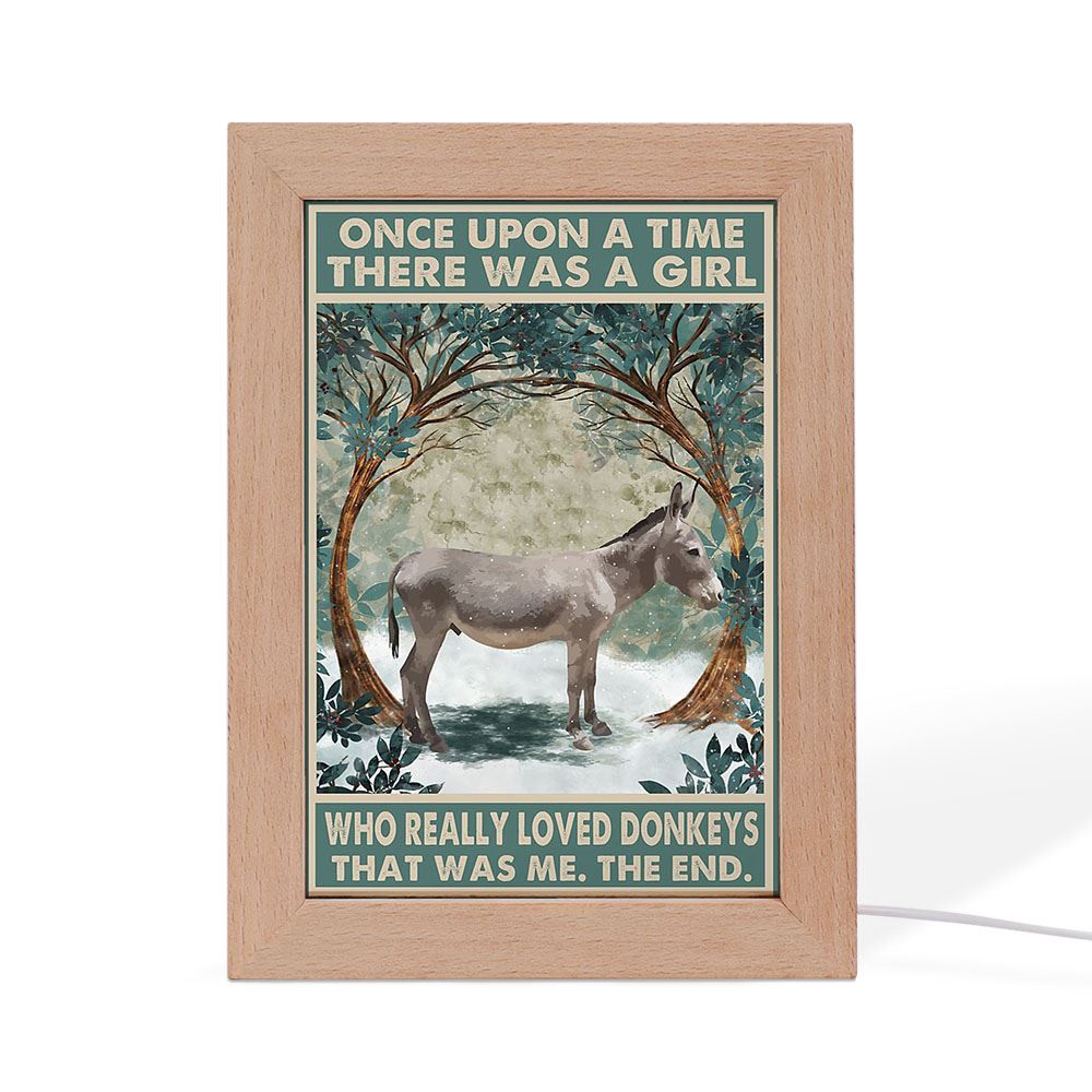 Once Upon A Time There Was A Girl Who Really Loved Donkey Frame Lamp, Picture Frame Light, Frame Lamp, Mother’s Day Gifts