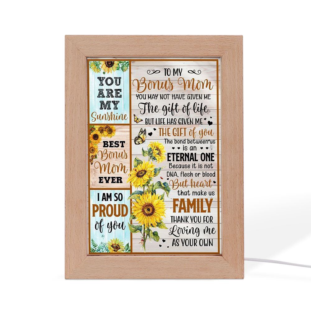 You May Not Have Give Me The Gift Of Life Frame Lamp, Picture Frame Light, Frame Lamp, Mother’s Day Gifts