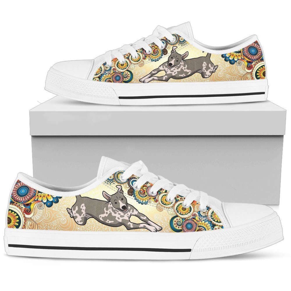 American Hairless Terriers Women’s Low Top Shoes, Designer Low Top Shoes, Low Top Sneakers