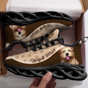 Norfolk Terrier Max Soul Shoess, Max Soul&hellip;