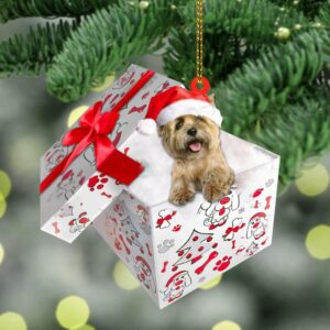 Cairn-Terrier In Gift Box Christmas Ornament, Christmas&hellip;