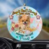 Chihuahua Sleeping In The Seashell Ornament, Christmas Ornament, Dog Ornament, Xmas Dog Ornaments