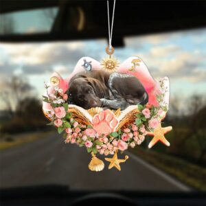 German Shorthaired Pointer Sleeping In The Seashell&hellip;