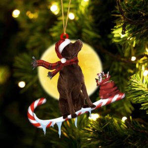 Labrador-Retriever（Chocolate） On The Candy Cane Christmas Ornament,&hellip;