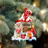 Morkie With Red Truck Christmas Ornament, Christmas Ornament, Dog Ornament, Xmas Dog Ornaments
