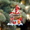 Pekingese A Lot Of Loving Master Ornament, Christmas Ornament, Dog Ornament, Xmas Dog Ornaments