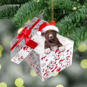 Pit-bull In Gift Box Christmas Ornament, Christmas&hellip;