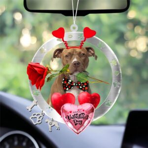 Pit Bull With Rose & Heart Balloon&hellip;