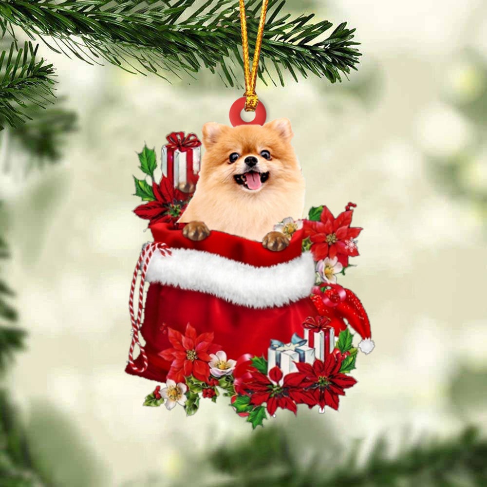 Pomeranian In Gift Bag Christmas Ornament, Christmas Ornament, Dog Ornament, Xmas Dog Ornaments Pomeranian In Gift Bag Christmas Ornament, Christmas Ornament, Dog Ornament, Xmas Dog Ornaments