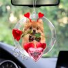 Pomeranian With Rudolph’s House Christmas Ornament, Christmas Ornament, Dog Ornament, Xmas Dog Ornaments Pomeranian With Rudolph’s House Christmas Ornament, Christmas Ornament, Dog Ornament, Xmas Dog Ornaments