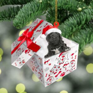 Portuguese-Water In Gift Box Christmas Ornament, Christmas&hellip;