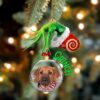 Rhodesian Ridgeback Sleeping In The Seashell Ornament, Christmas Ornament, Dog Ornament, Xmas Dog Ornaments