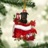 Rottweiler 2 On The Hands Of Jesus Ornament, Christmas Ornament, Dog Ornament, Xmas Dog Ornaments
