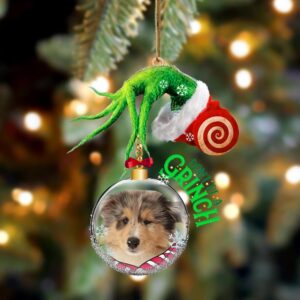 Rough Collie Don’t Be A Grinch Christmas&hellip;