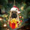 Shar Pei With Snowman Christmas Ornament, Christmas Ornament, Dog Ornament, Xmas Dog Ornaments