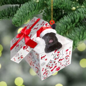 Skye-Terrier In Gift Box Christmas Ornament, Christmas&hellip;