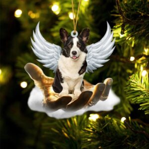 Welsh Corgi On The Hands Of Jesus&hellip;