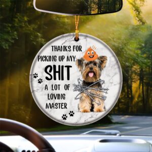 Yorkshire Terrier A Lot Of Loving Master&hellip;