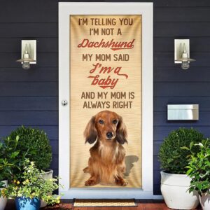 My Mom Said I m A Baby Dachshund Door Cover Xmas Outdoor Decoration Gifts For Dog Lovers Christmas Gift 2 vhqlew.jpg