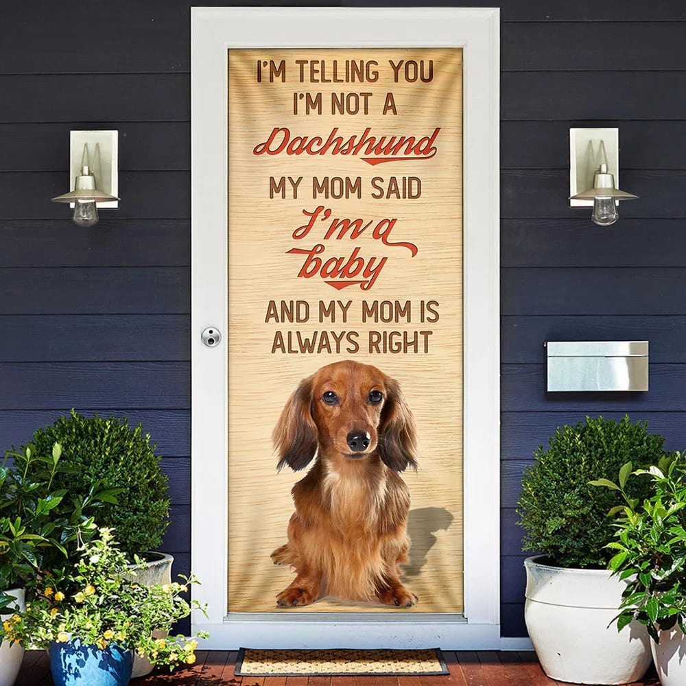 My Mom Said I’m A Baby Dachshund Door Cover, Xmas Outdoor Decoration, Gifts For Dog Lovers, Christmas Gift